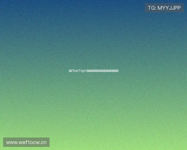 天行Test Flight官网平台助力开发者高效测试与发布应用程序